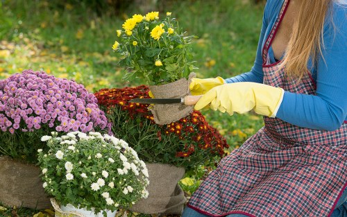 Training session for gardeners on safe use of hedge trimming equipment